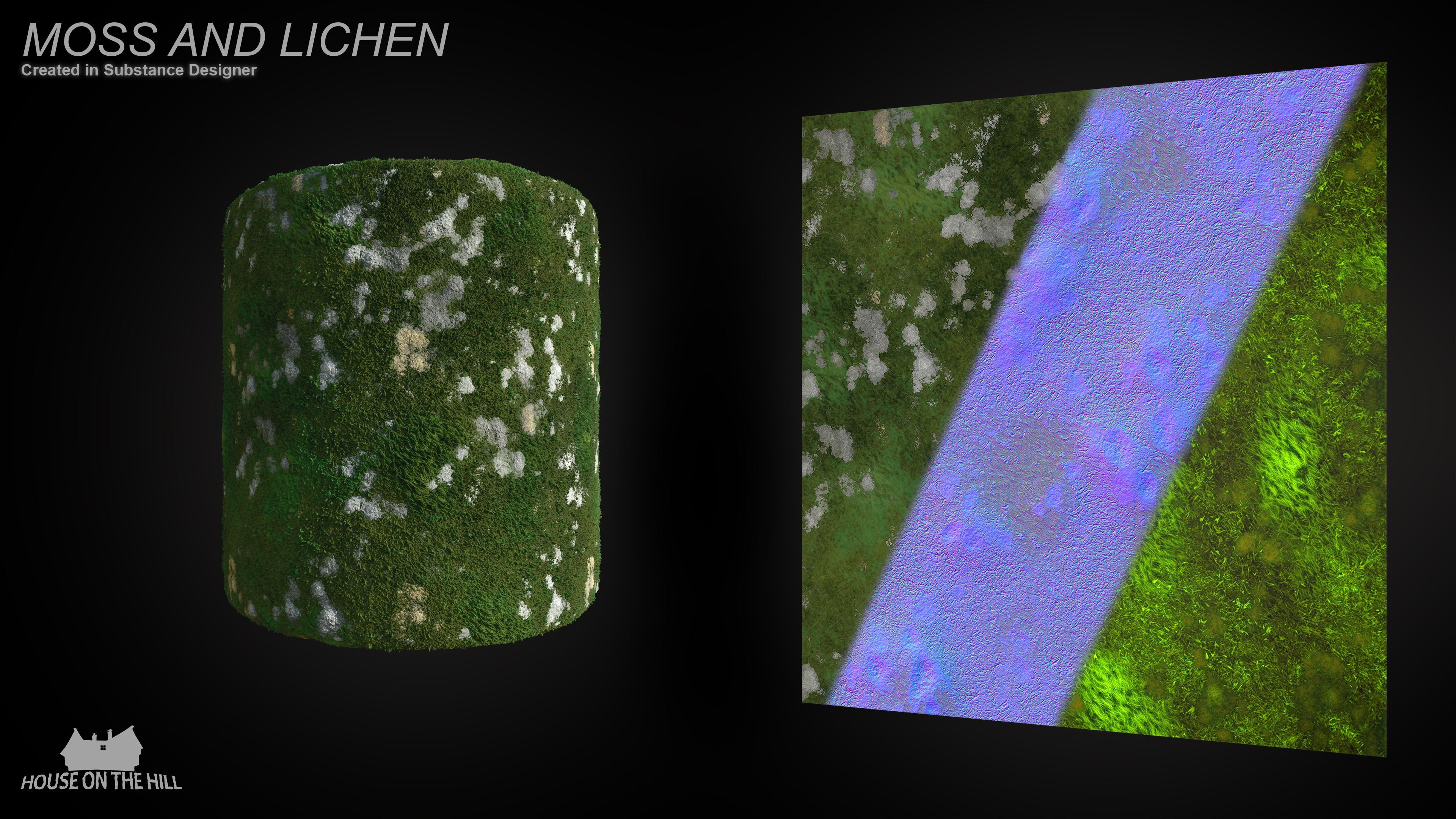 Moss and lichen material